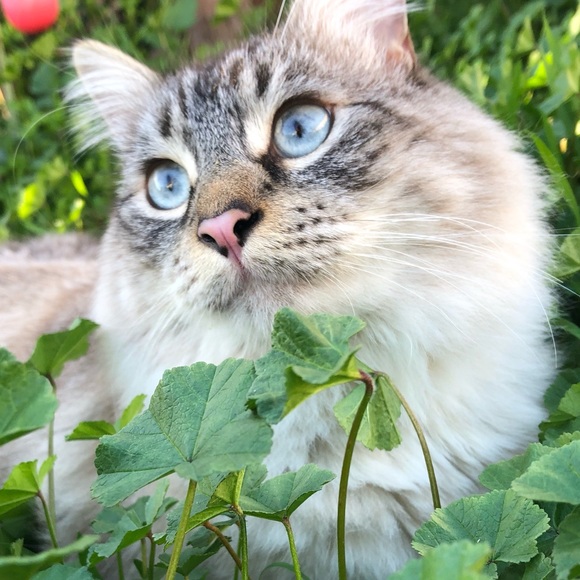 Meet your Posher, Any - Picture 1 of 1